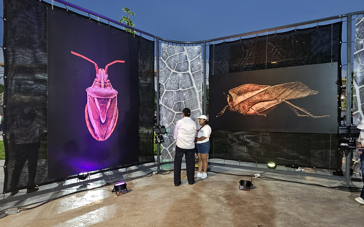 37-las-mejores-luces-iluminacion-eventos-corporativos-empresariales-exposiciones-expos-escenarios-arquitectonica-decorativa-en-tampico