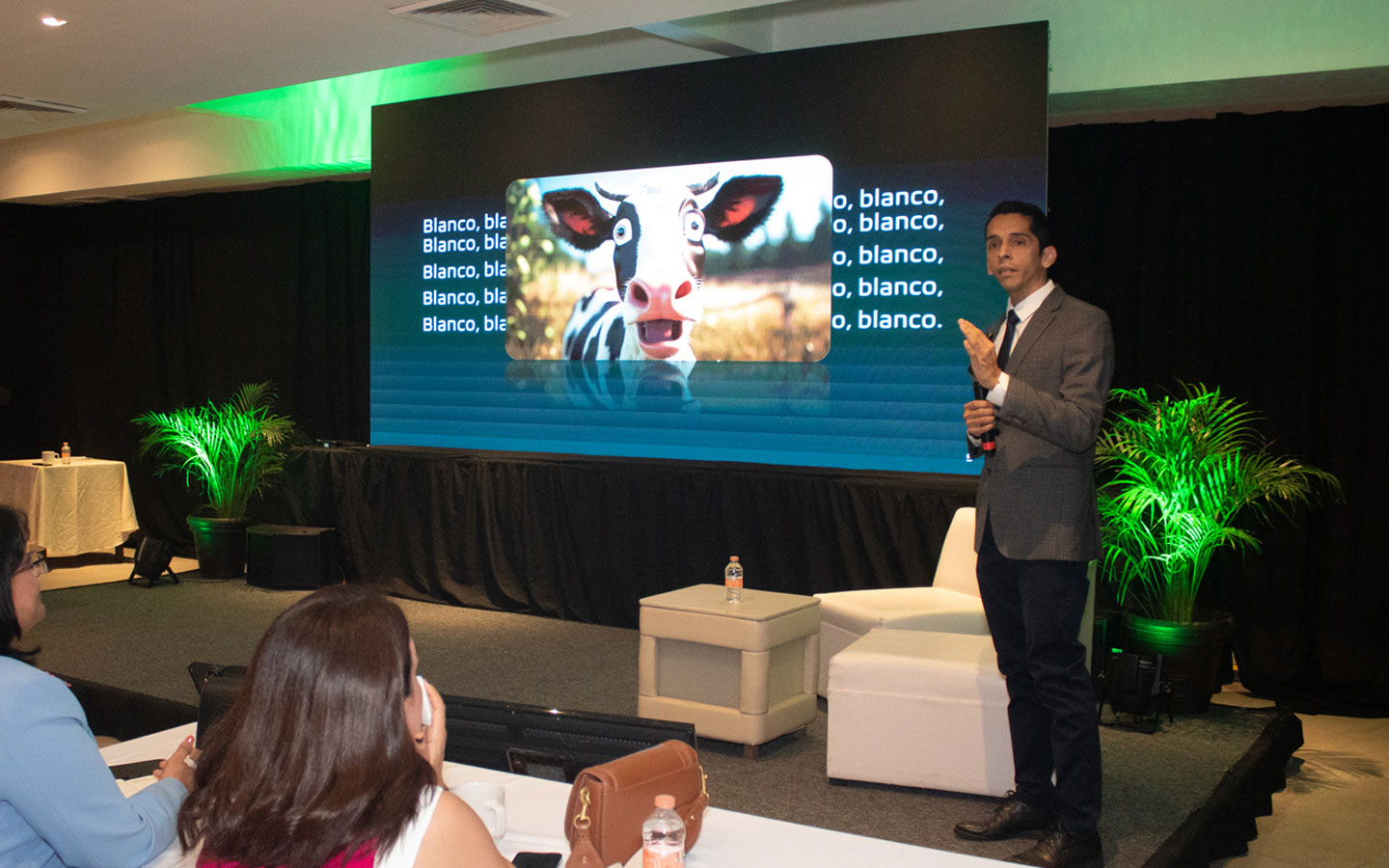 21-alquiler-pantallas-led-tampico-expotam